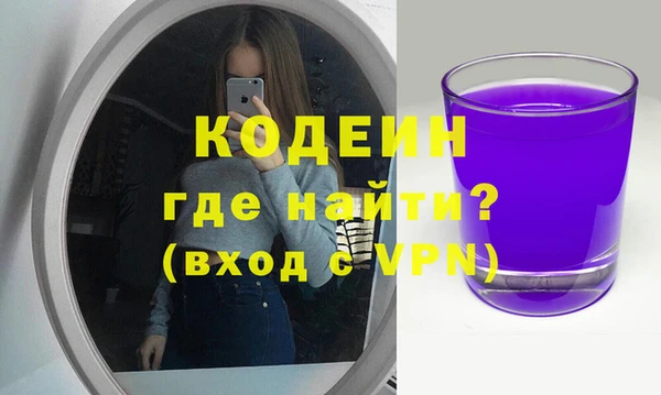 прущие грибы Няндома