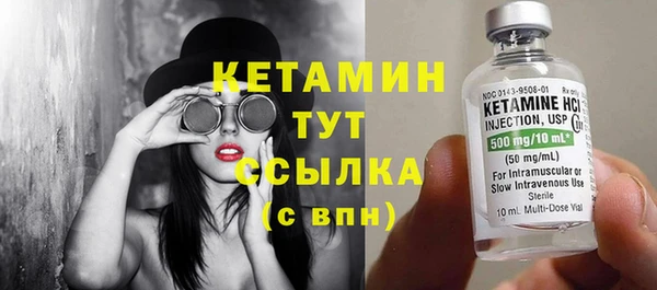 прущие грибы Няндома