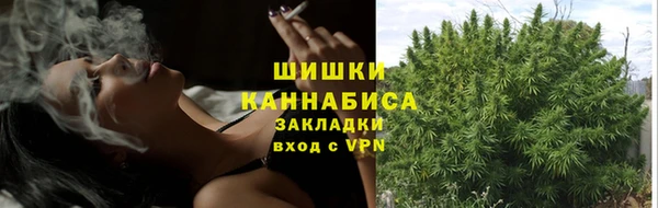 бутират Нягань