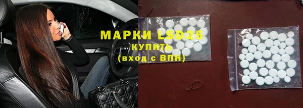 прущие грибы Няндома