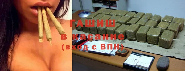 прущие грибы Няндома