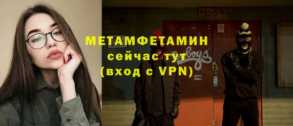 прущие грибы Няндома