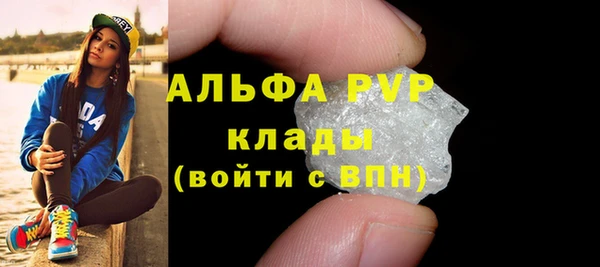 прущие грибы Няндома
