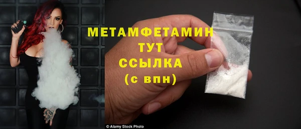 прущие грибы Няндома