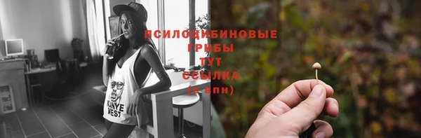 spice Новокубанск