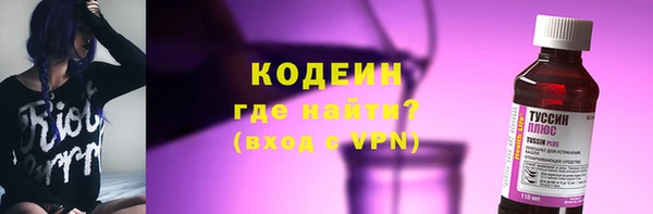 прущие грибы Няндома