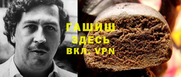 прущие грибы Няндома