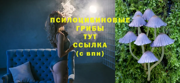 соль ск Нязепетровск