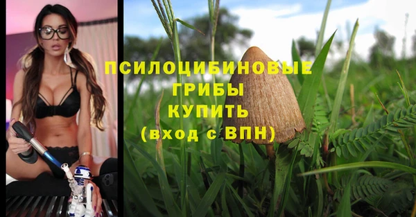 соль ск Новодвинск