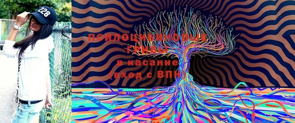 соль ск Нязепетровск