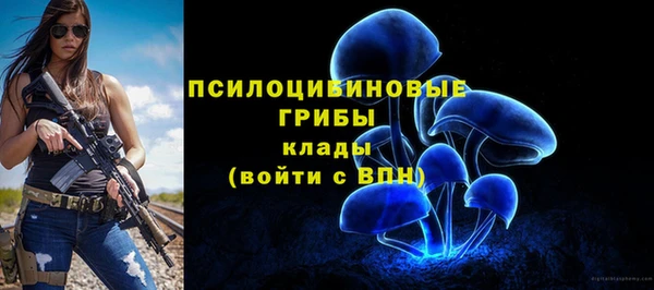 прущие грибы Няндома