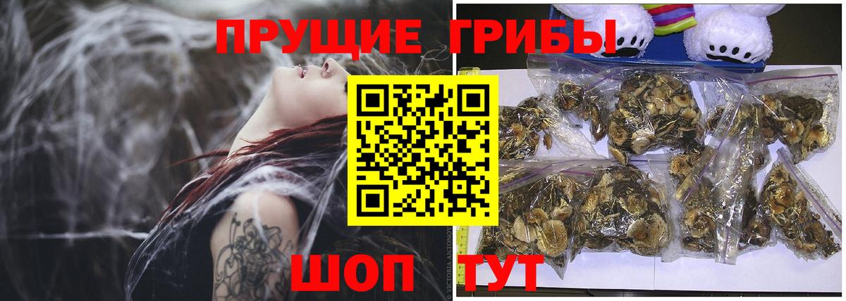 Псилоцибиновые грибы мухоморы  Вход с VPN  как найти закладки  Абакан 