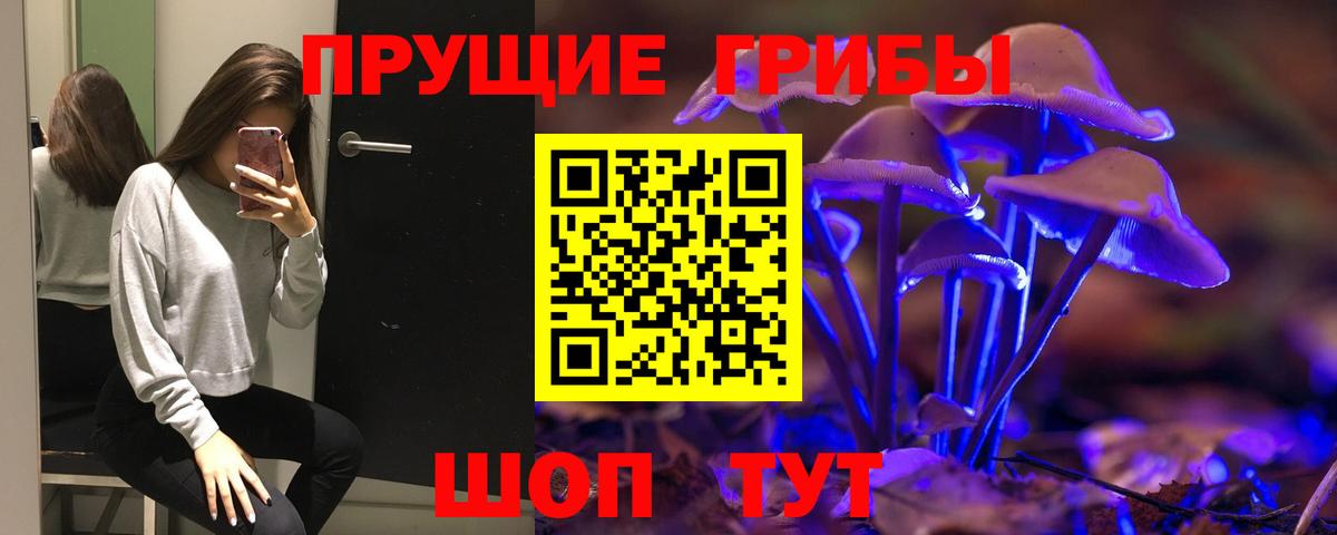 Галлюциногенные грибы Magic Shrooms  где найти наркотики  Галлюциногенные грибы MAGIC MUSHROOMS  Абакан 