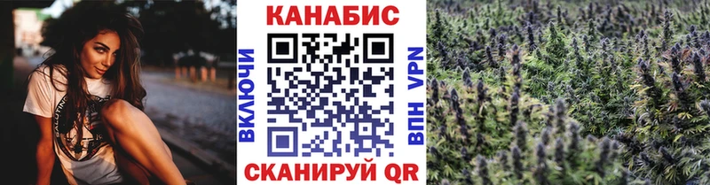 Бошки Шишки планчик Абакан
