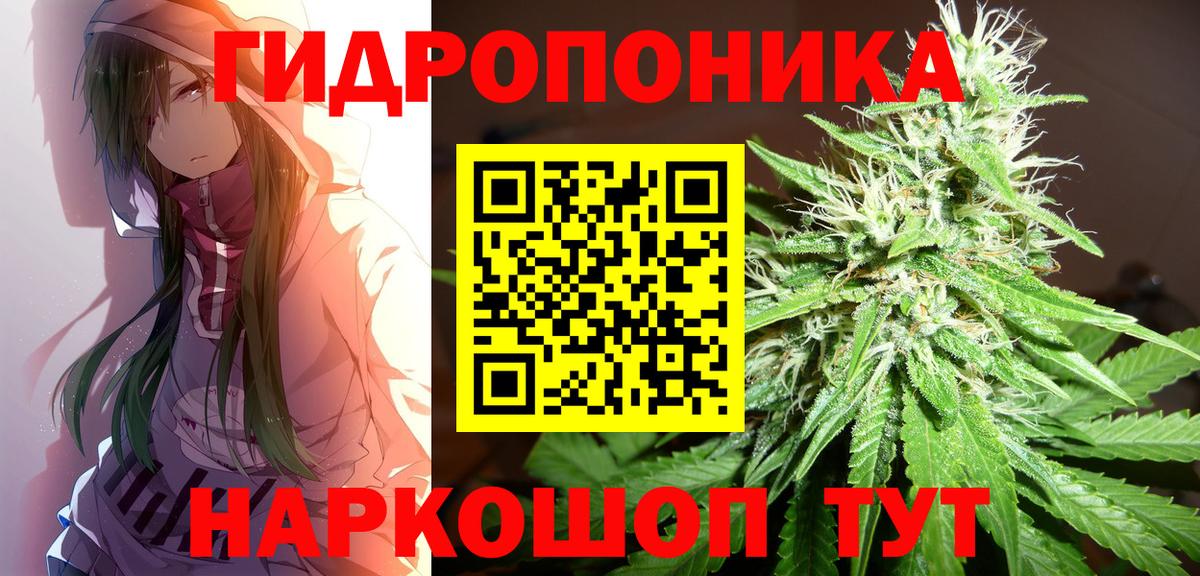 Шишки марихуана конопля Абакан